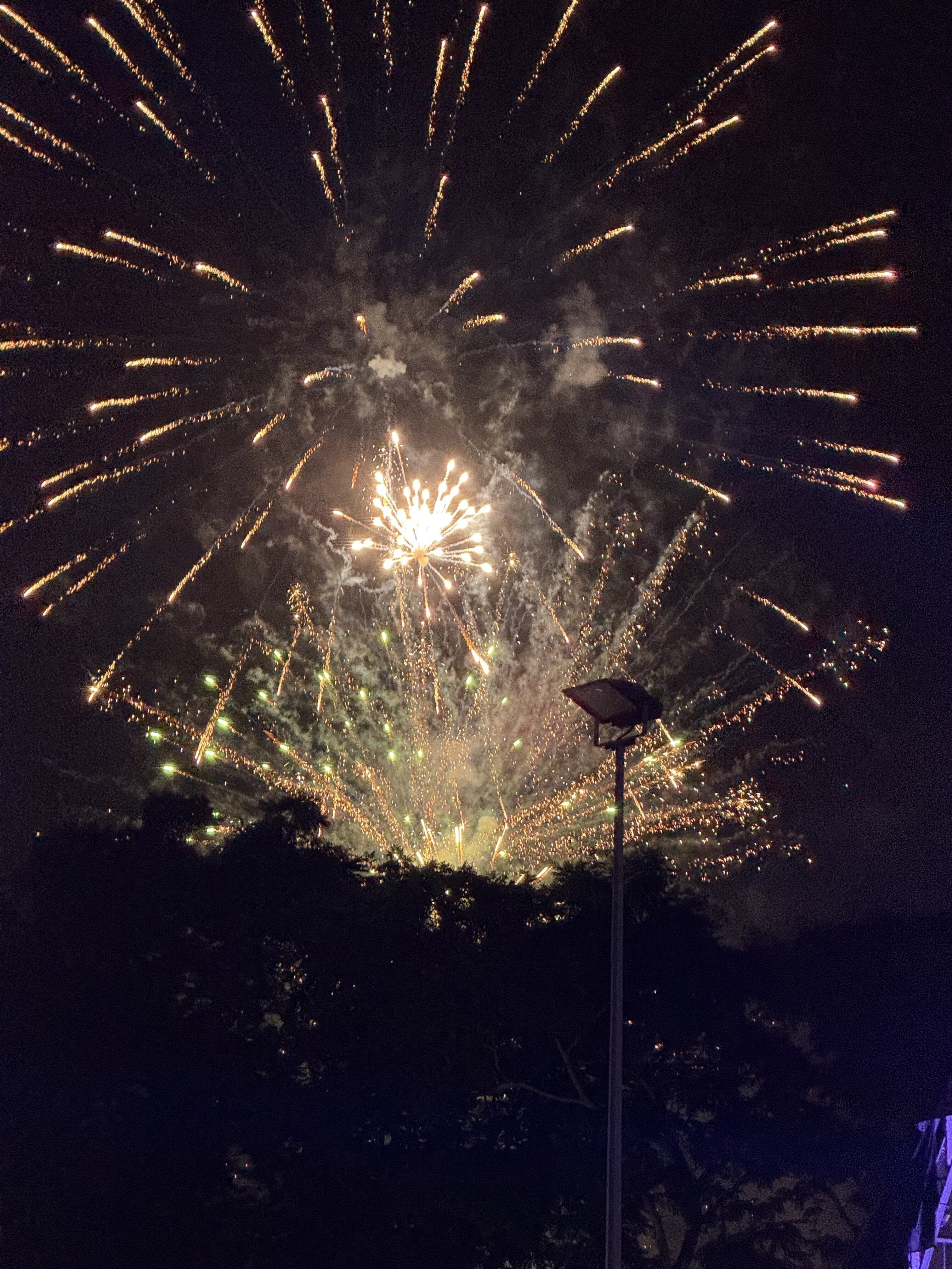 post-countdown fireworks-such a magical sight!