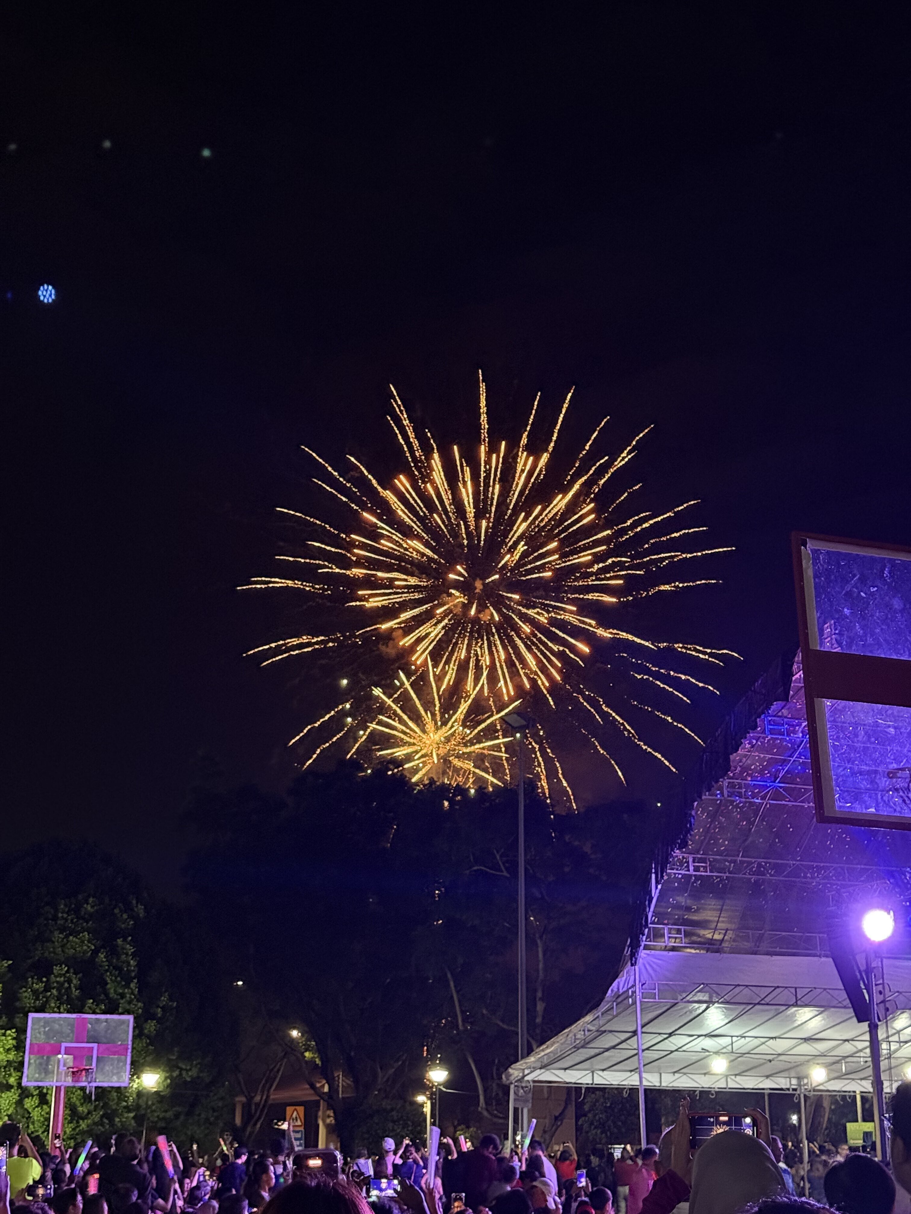 these fireworks were memorable-what a way to end the night! 😍