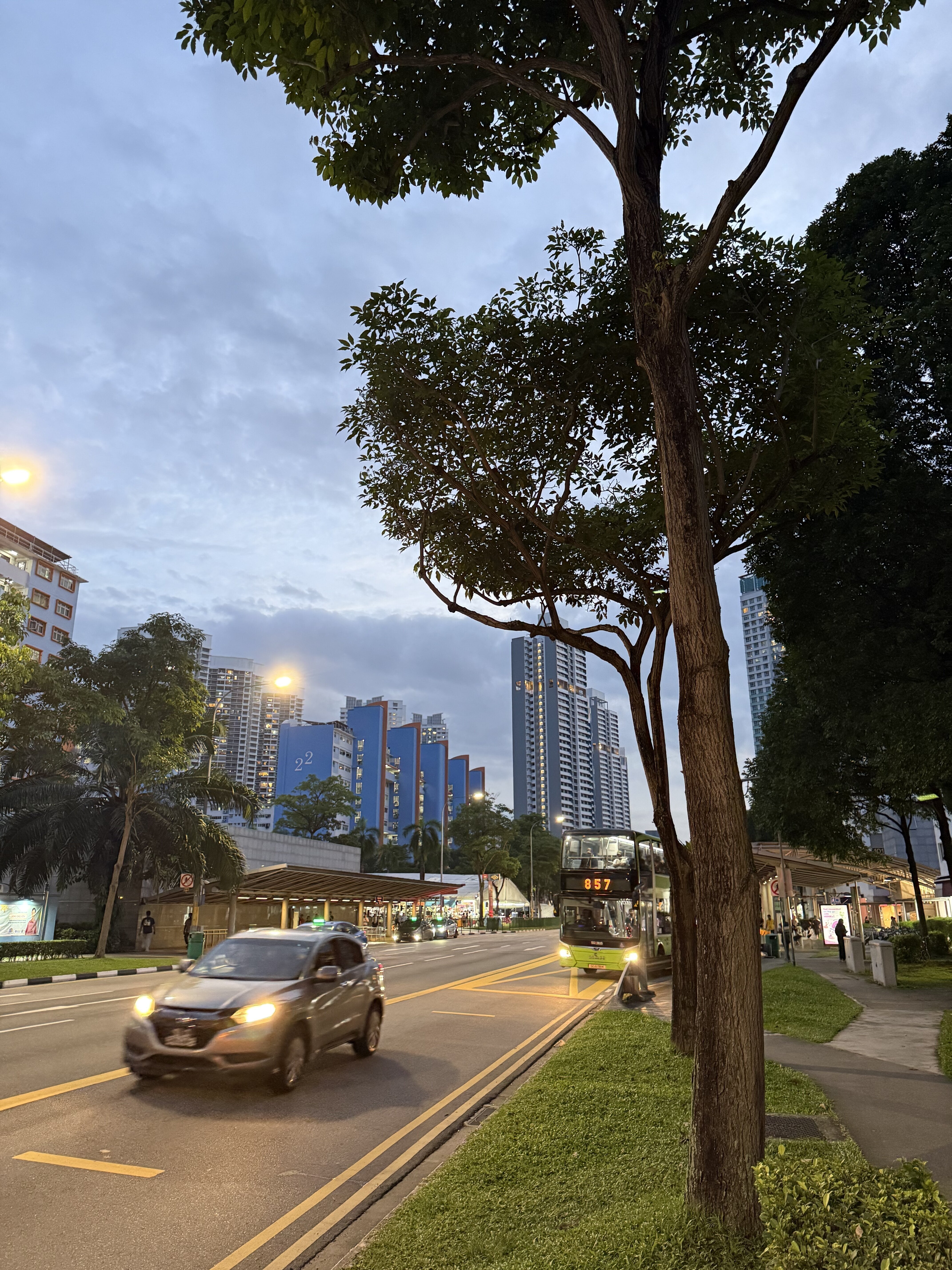 slept till evening but still felt like a zombie… 💤