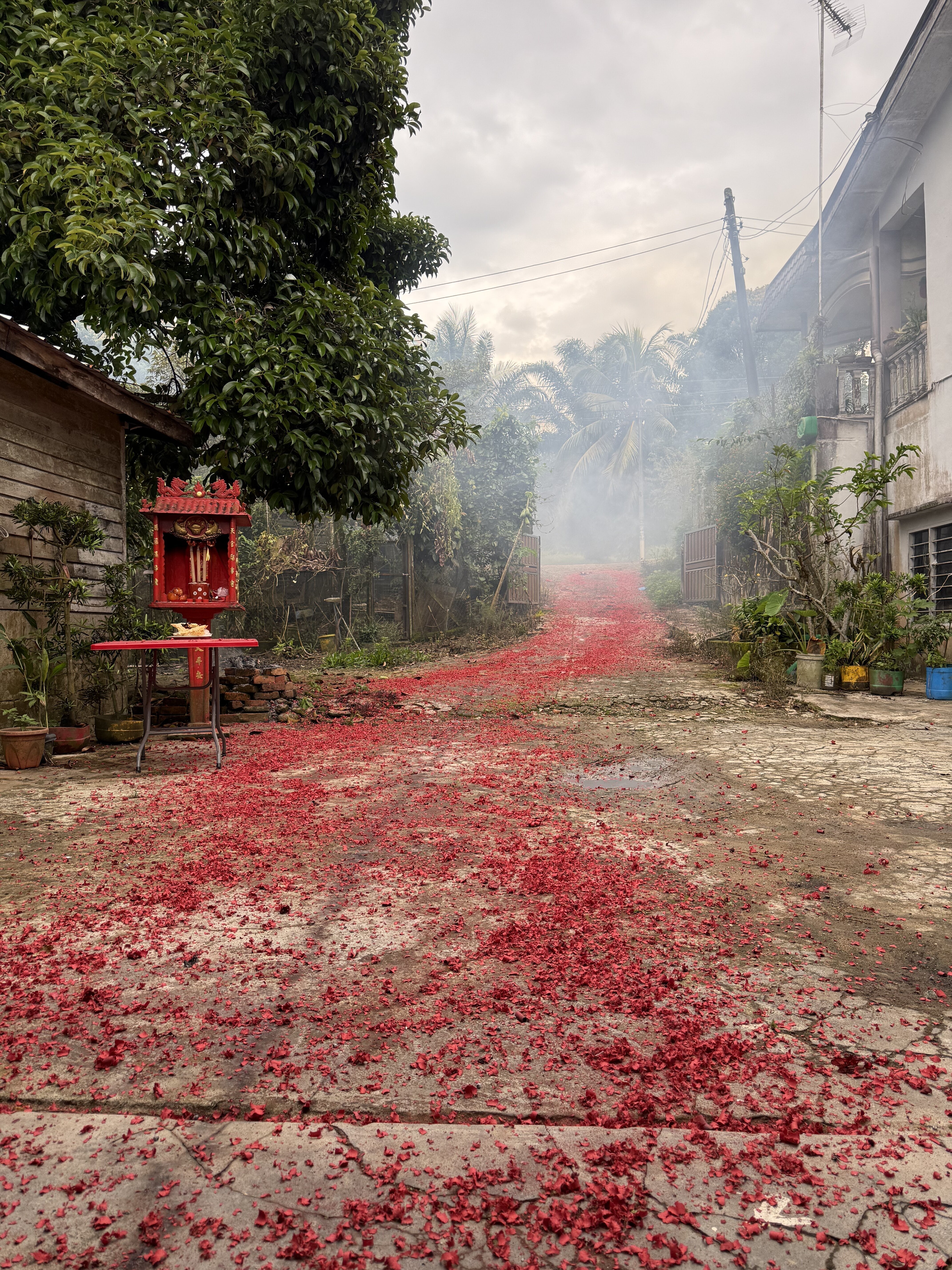 满地红！😍 huat ah!!!!!