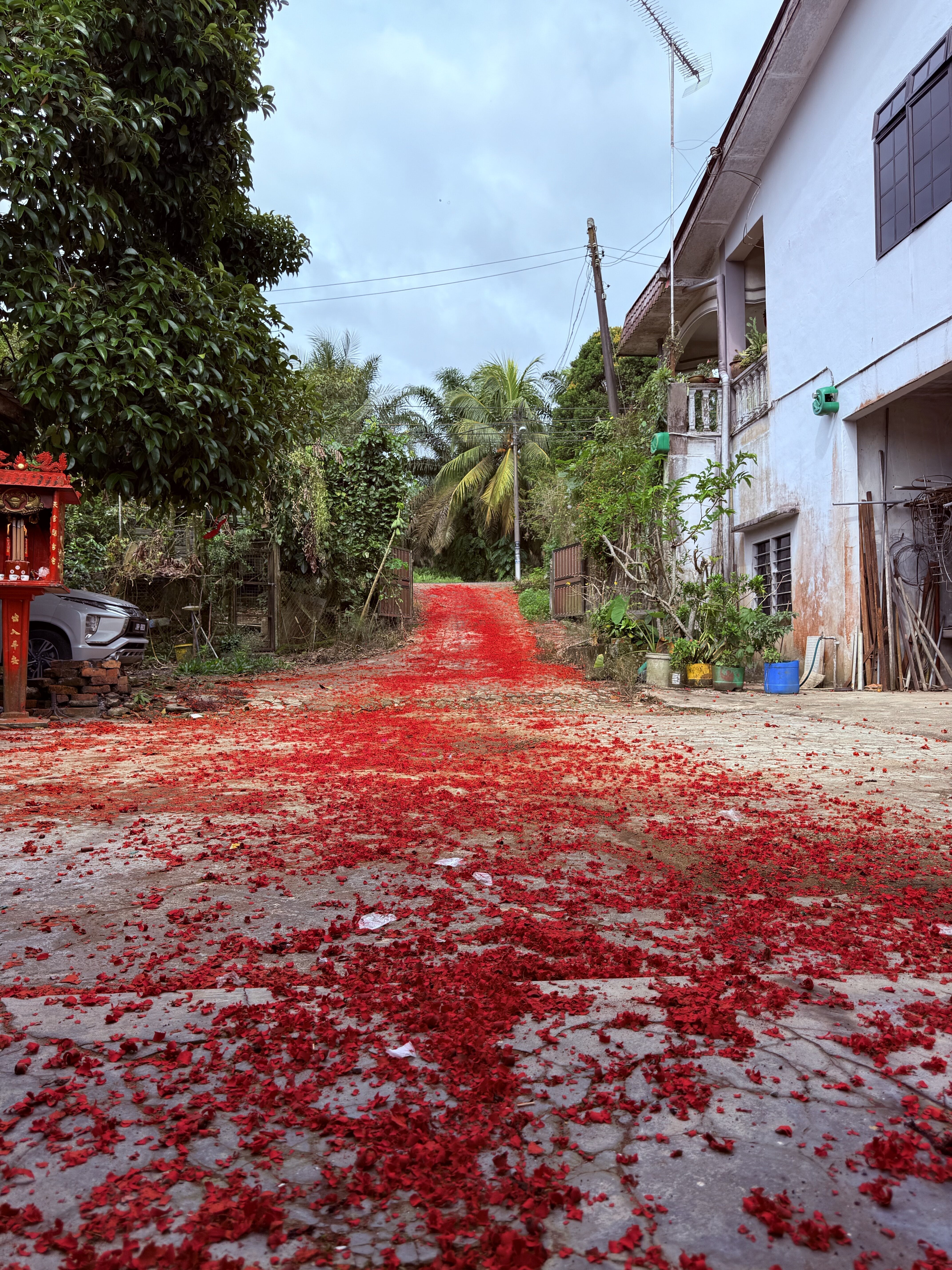 初二开门红！今年要红得彻底~ 🔥 这次炸的真的特别红啊啊啊啊