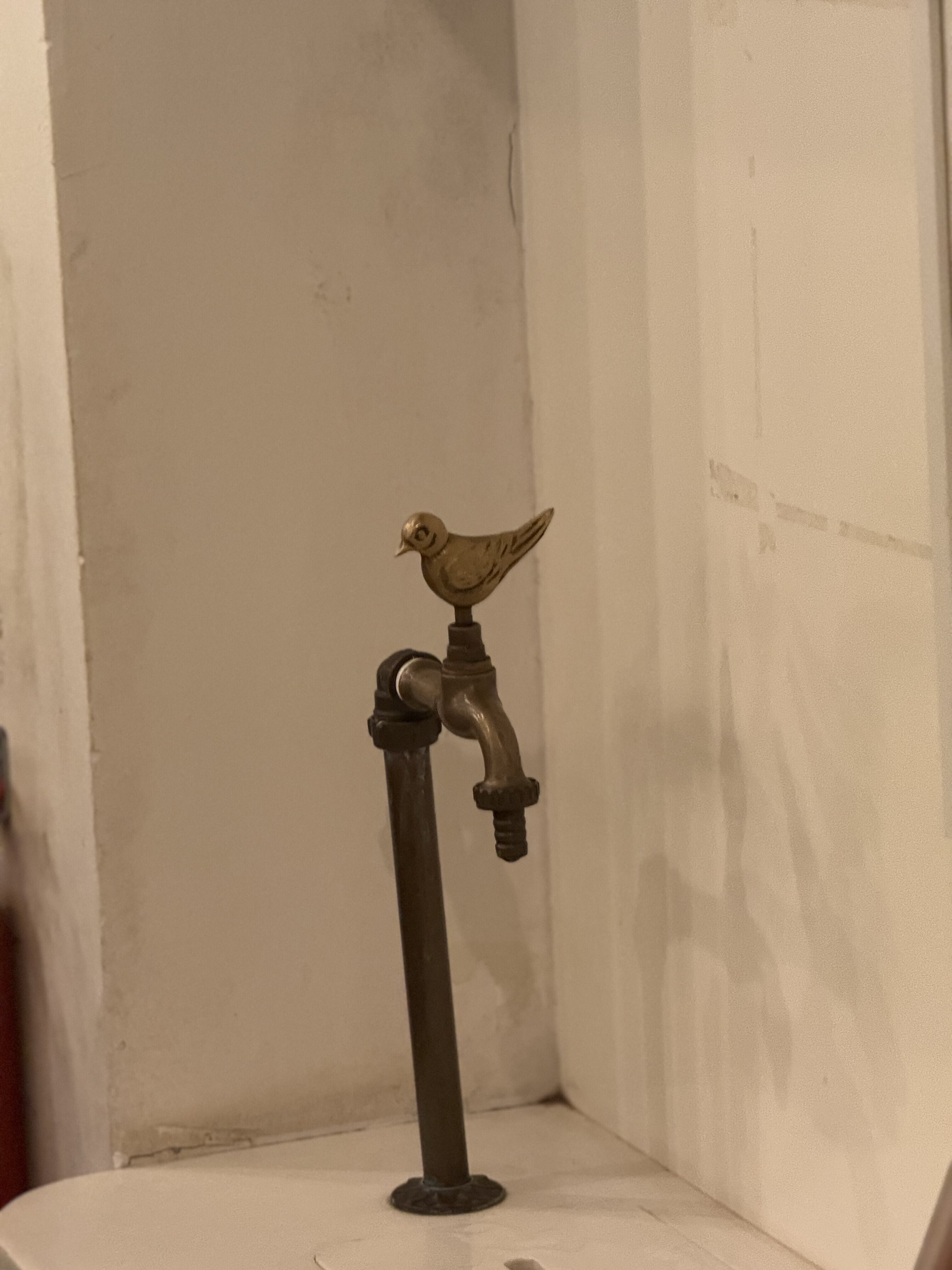 哈哈 好可爱的取水处