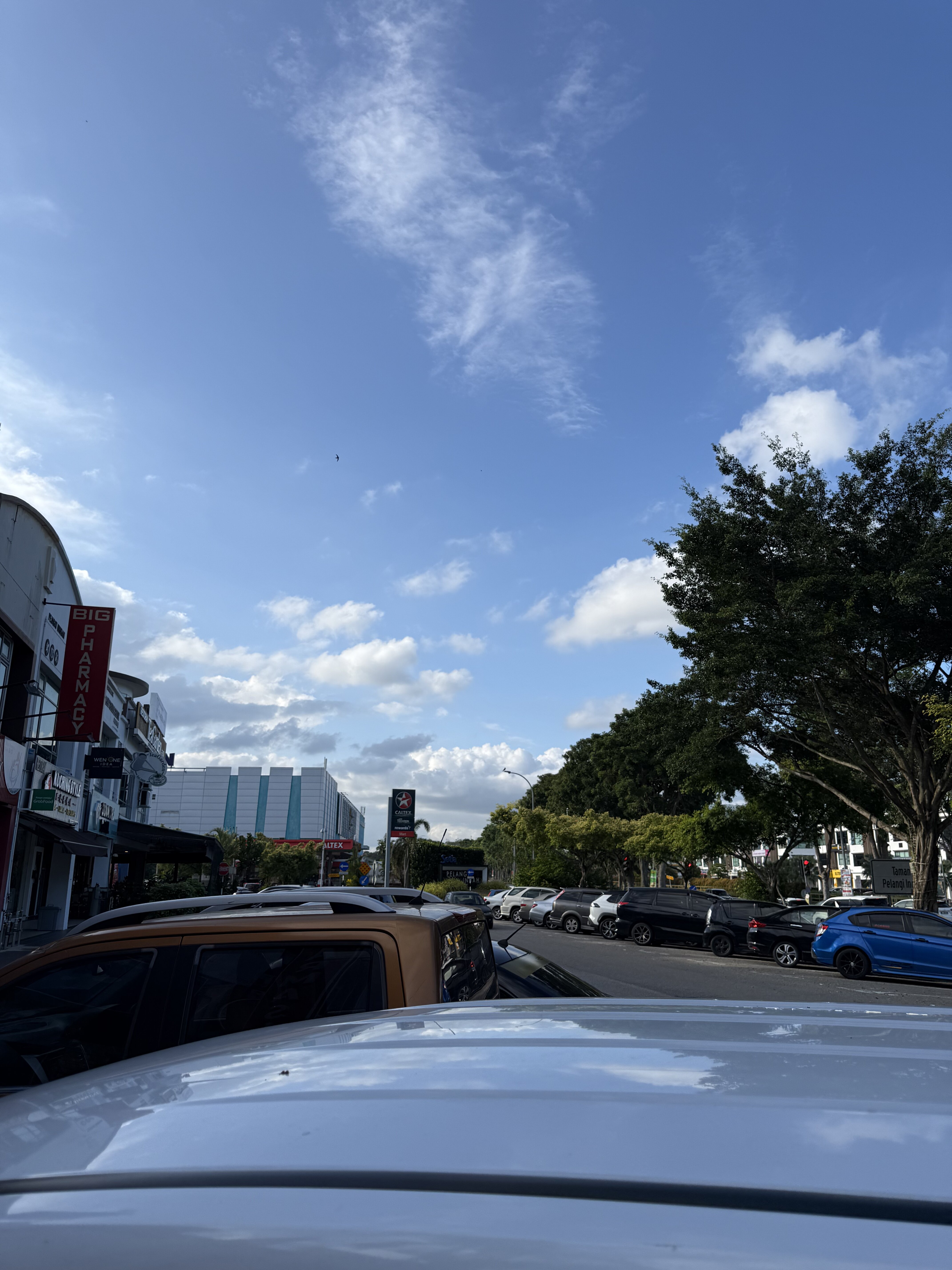 然后我们来到 gaya 🥺