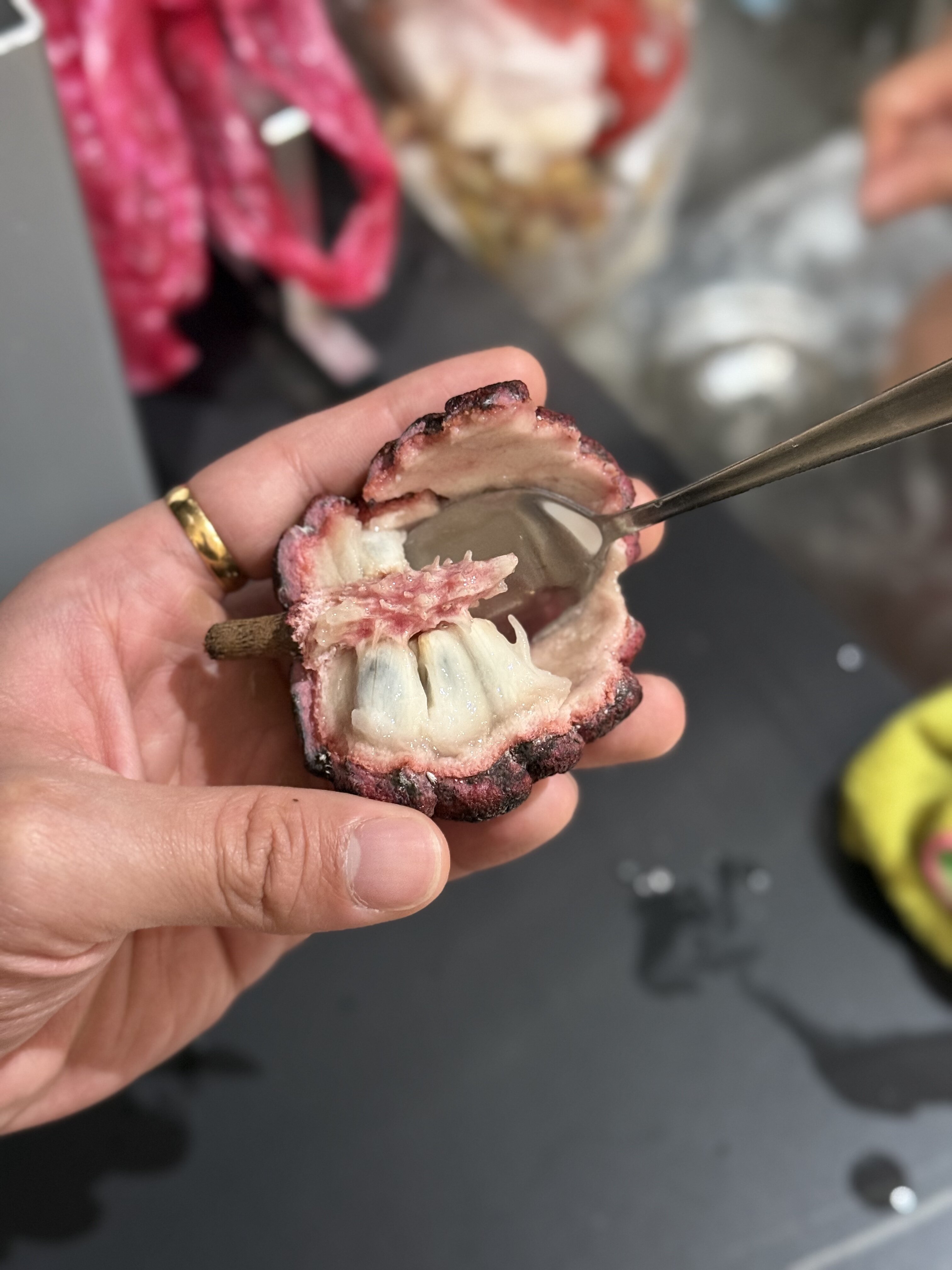 and limkim! (sugar-apple / Annona squamosa) my grandma had a few trees of it 🥺