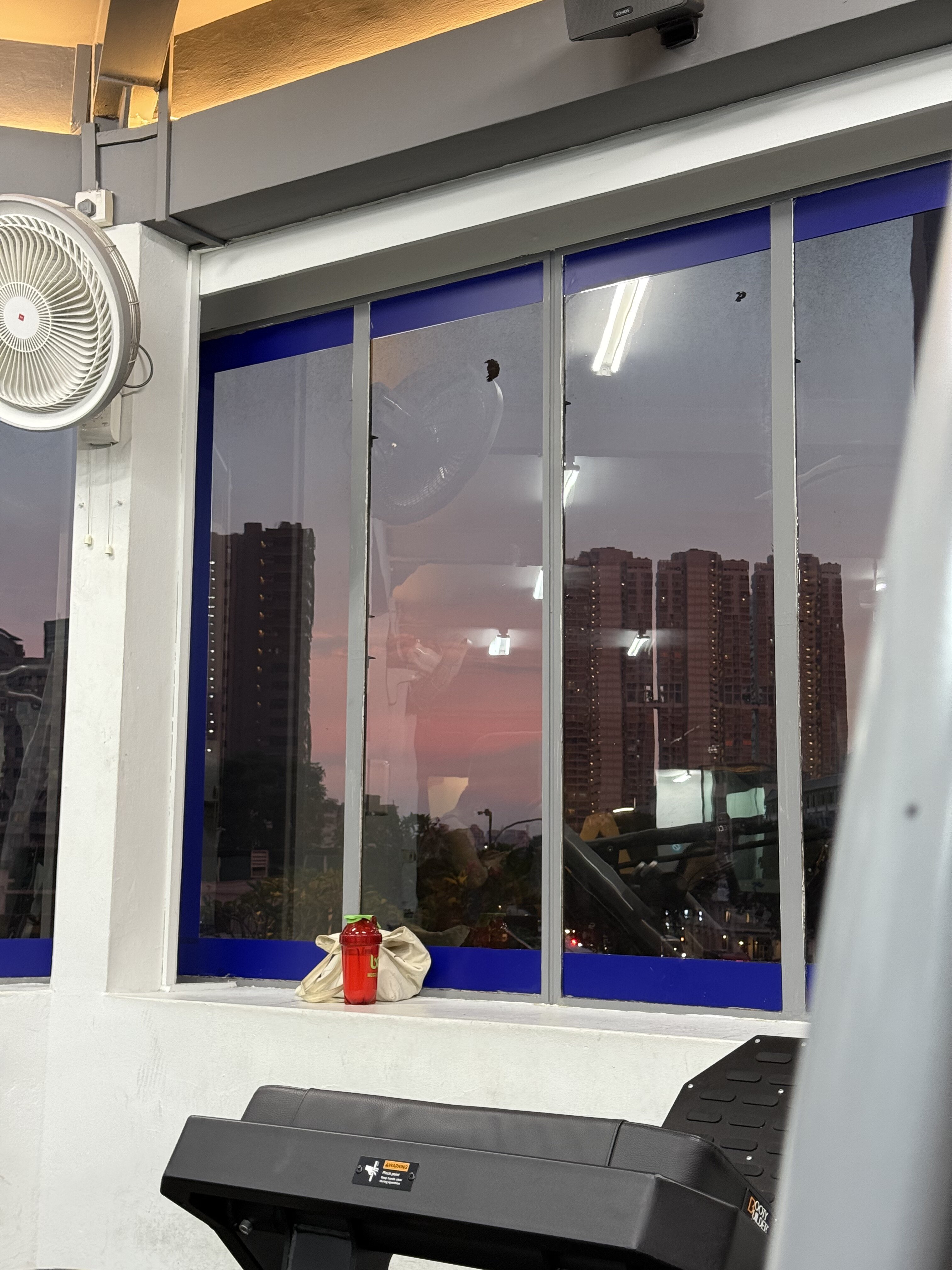 sunset always shows up whenever i need her 🥺