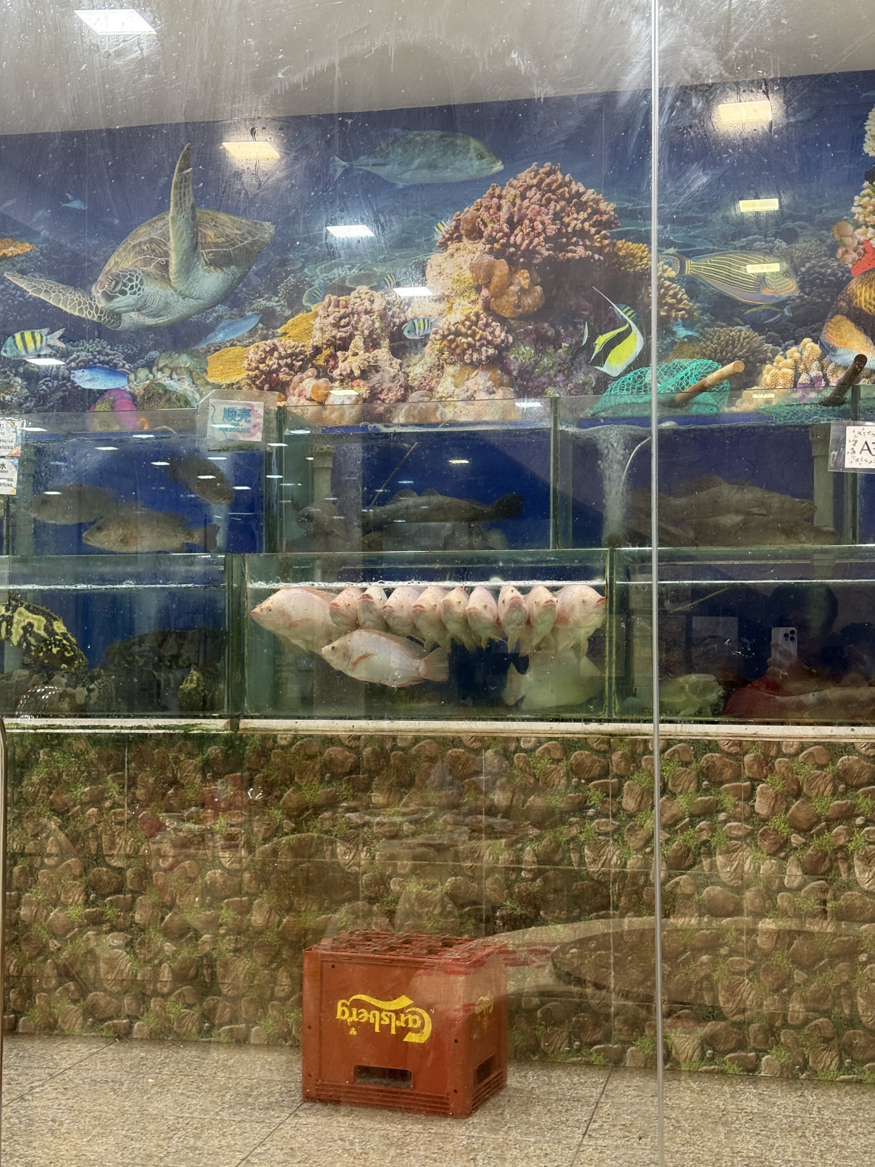 someone said, they line up to be picked to kill………… 🙏🏽