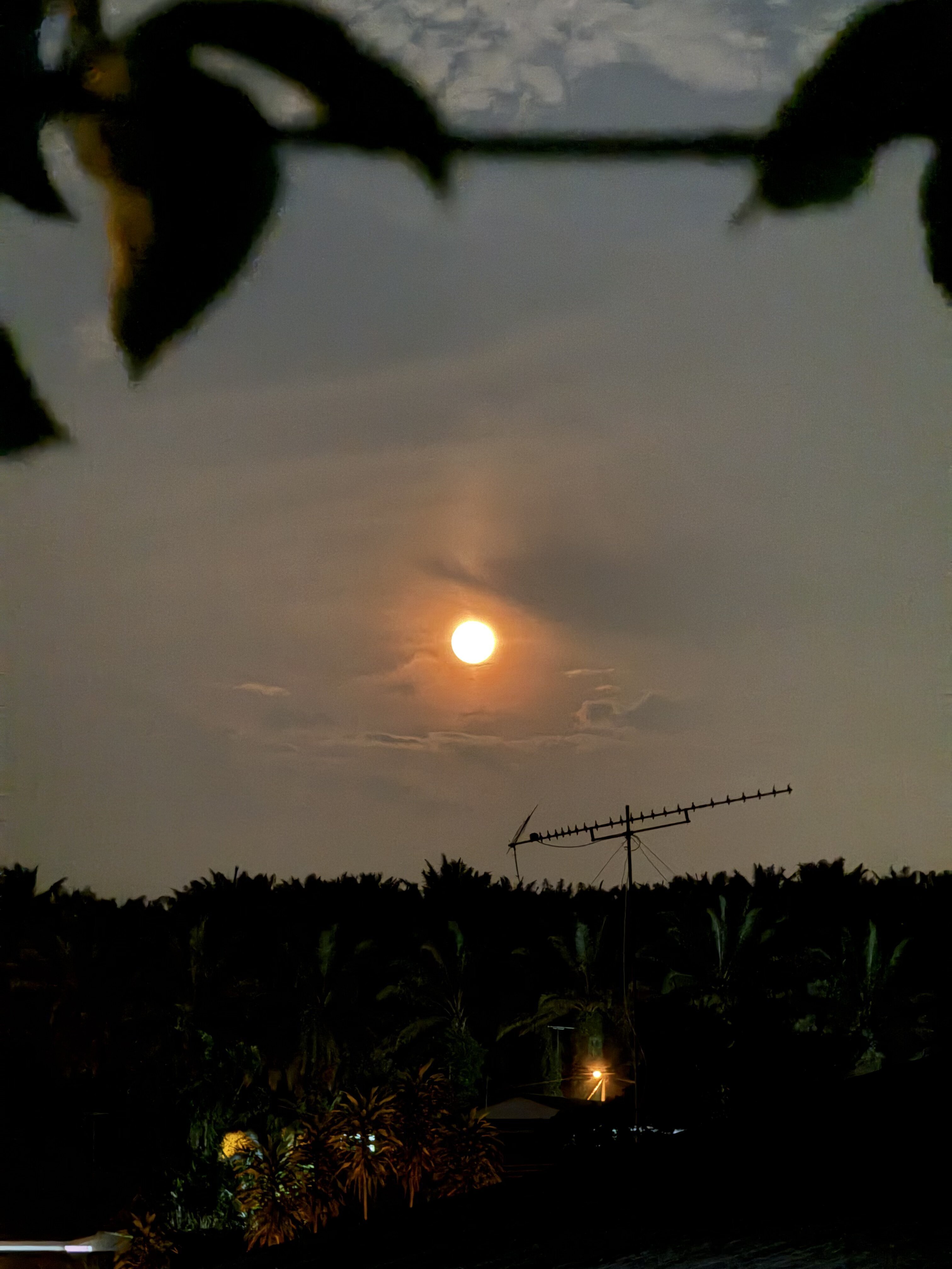 look at the moon! it was orangieeeee