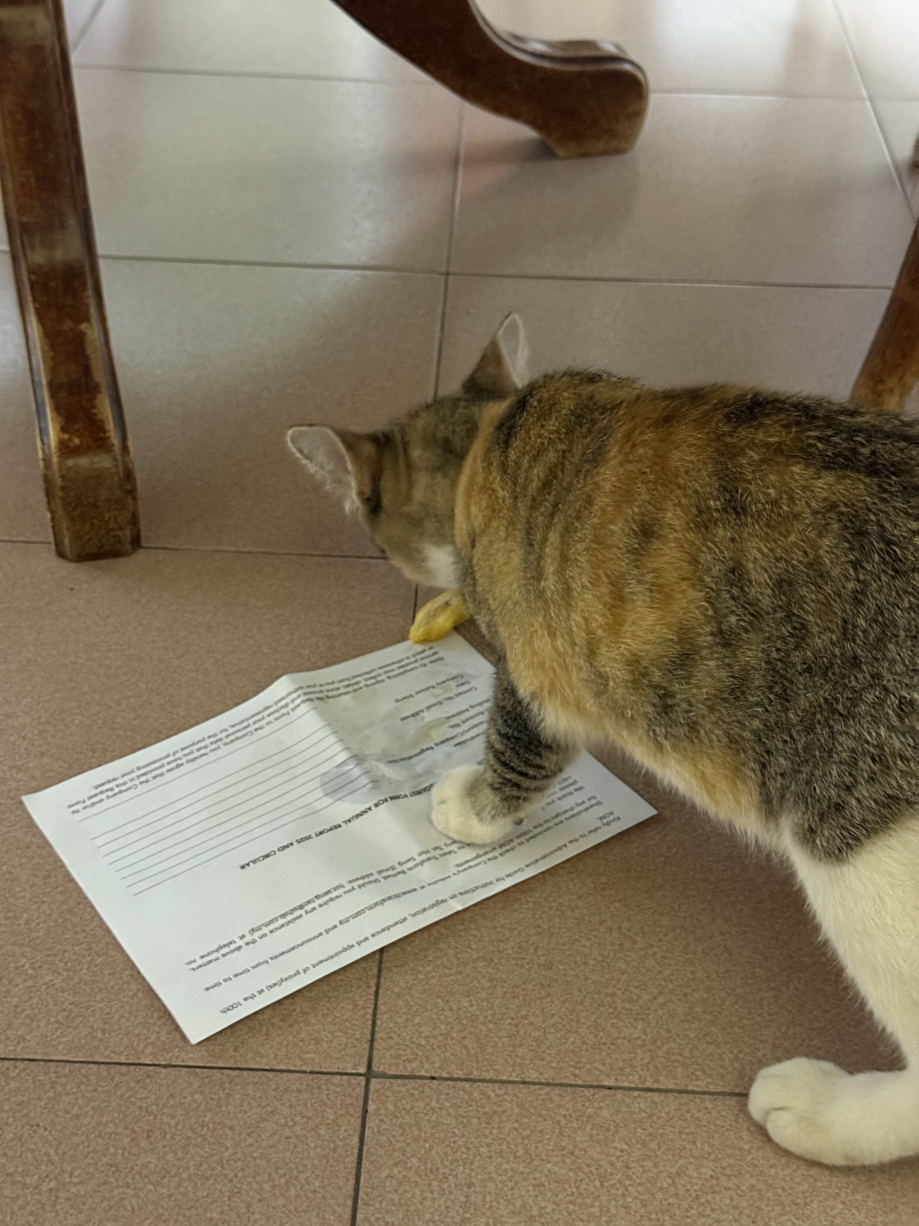 and guess what… niuniu ate tooooooo ahhhh so cute and shes so blessed