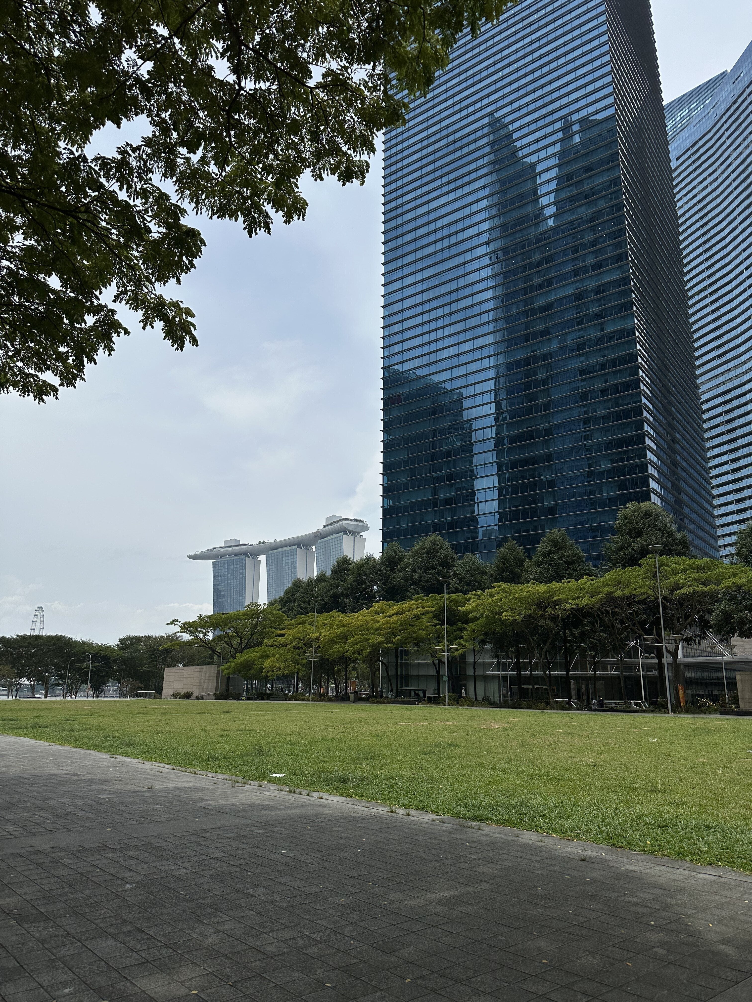 午饭后、休息休息